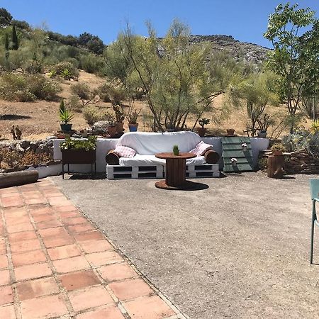 Cortijo Nuevo Alojamiento Rural Cuevas del Becerro Dış mekan fotoğraf