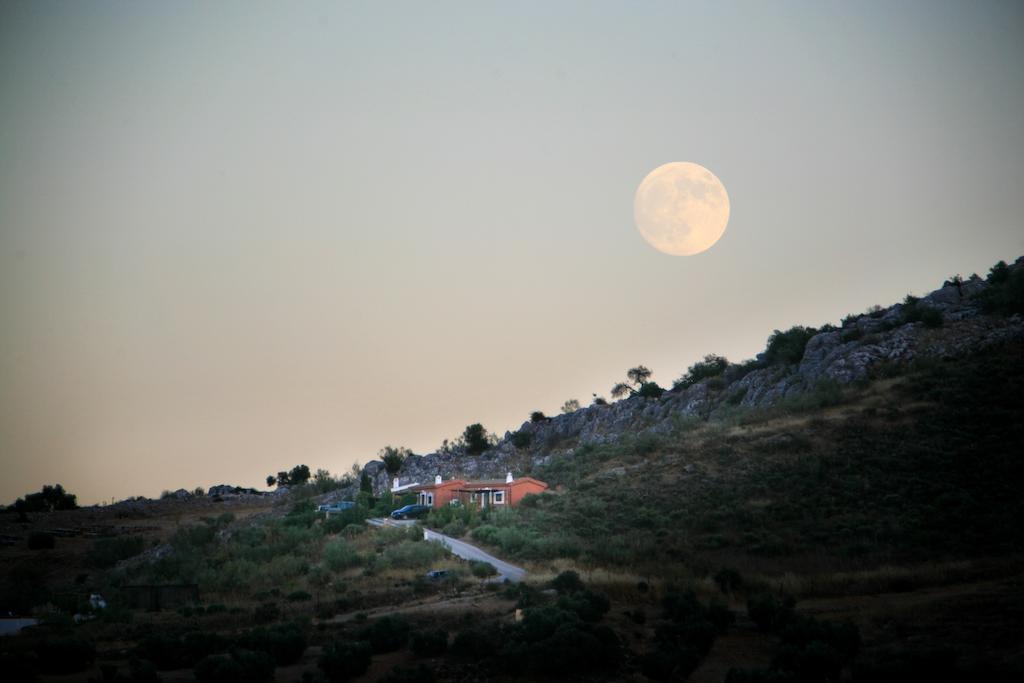 Cortijo Nuevo Alojamiento Rural Cuevas del Becerro Dış mekan fotoğraf
